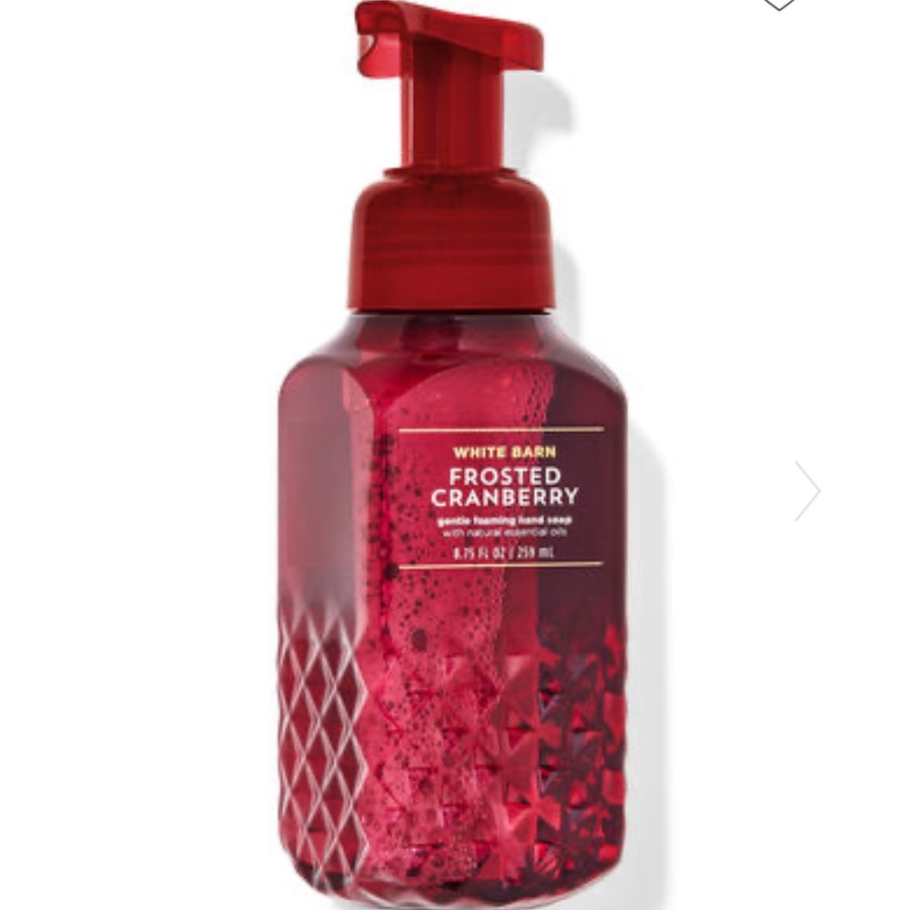 🎅 BBW Frosted Cranberry Hand Soap NEW